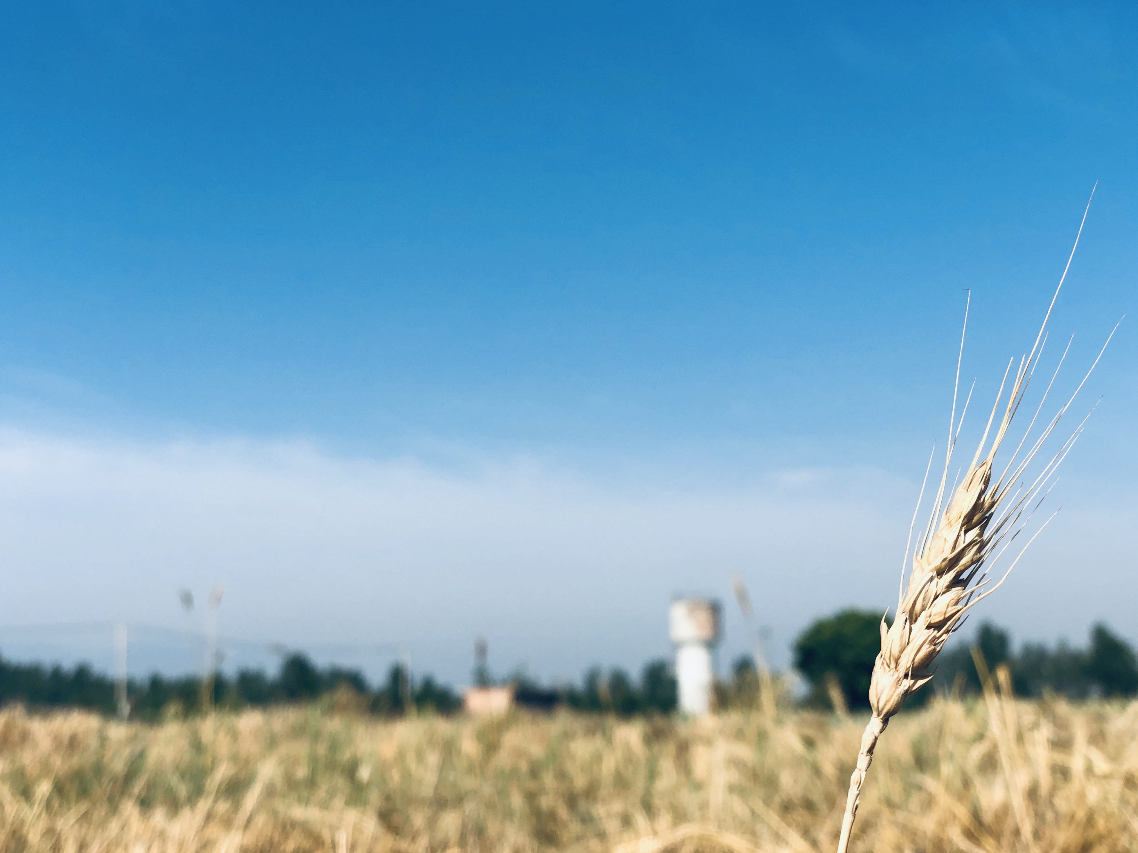 f83cde7e1b374cb4ba1def0babc8fd41.jpg f83cde7e1b374cb4ba1def0babc8fd41.jpg