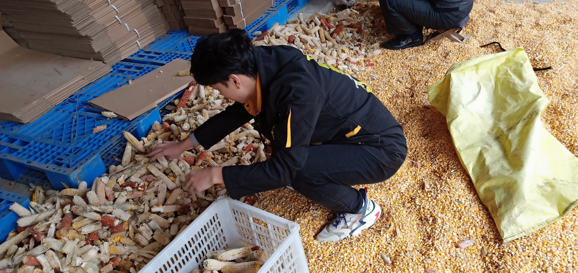 f3d6828676b645f7a69902a59274303e.jpg f3d6828676b645f7a69902a59274303e.jpg