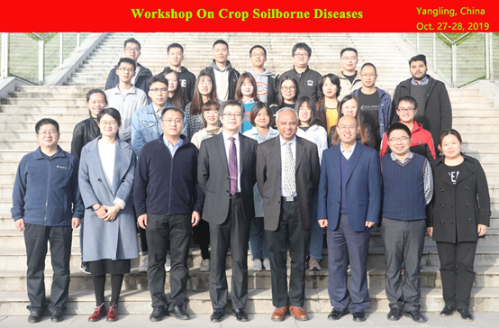 6eba36a14b06478486ce04b1f729e08b.png image.png