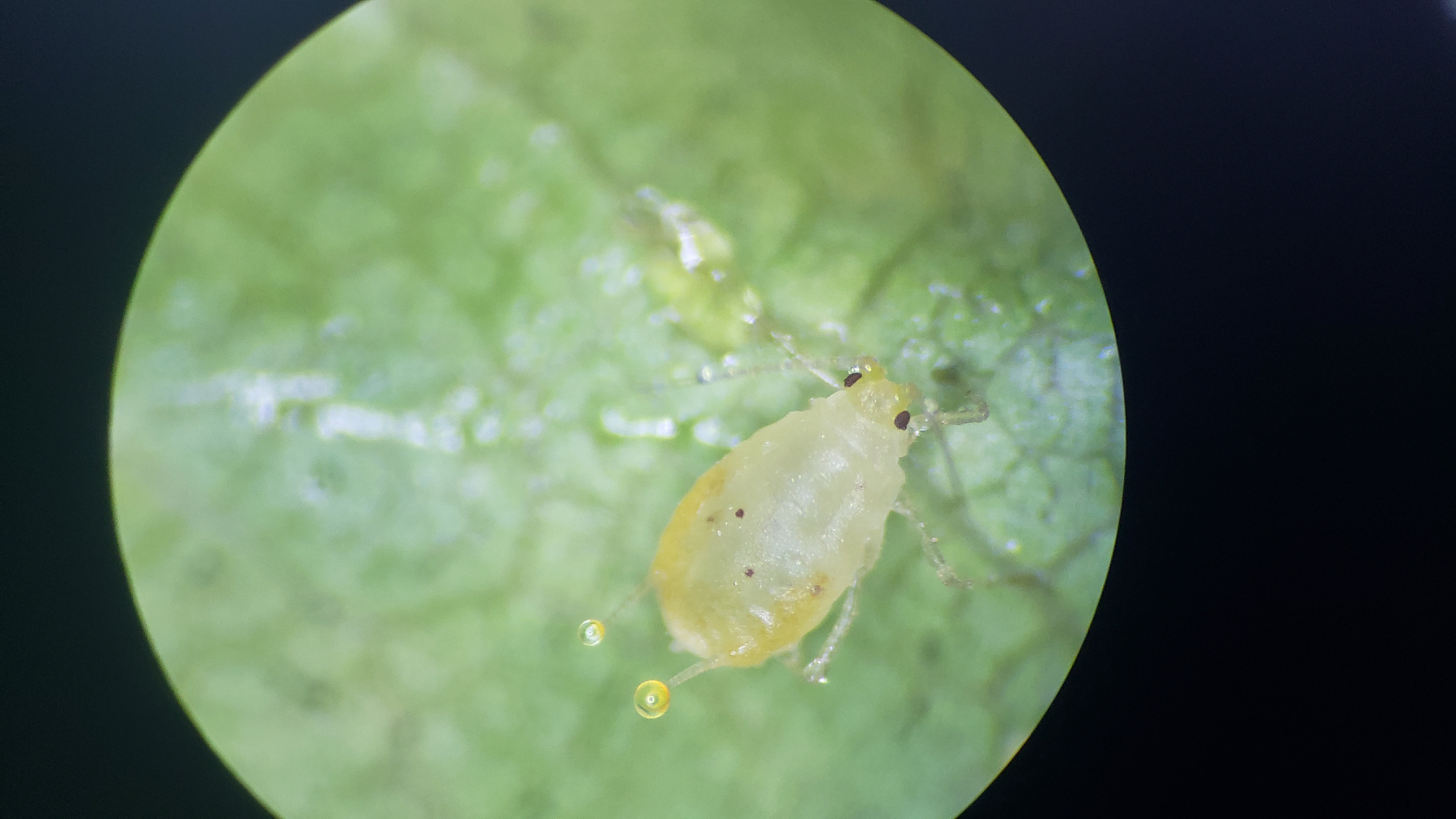 d929d2ec18934a6dbc65c055ba9abe13.jpg d929d2ec18934a6dbc65c055ba9abe13.jpg