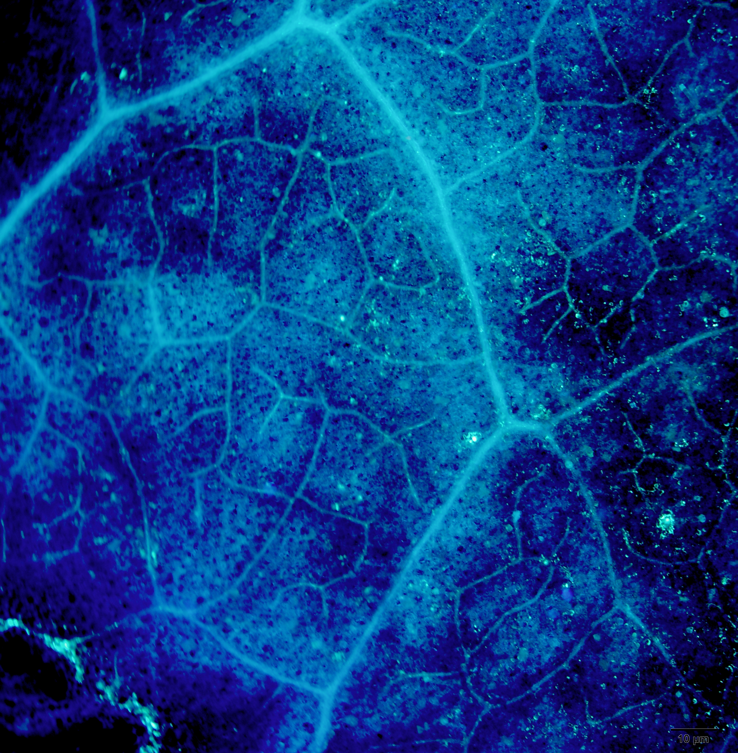 de61716cf549471cb1c0b454339b5547.jpg de61716cf549471cb1c0b454339b5547.jpg