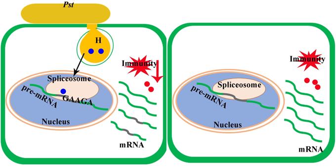 dd24ba7723a746848d074fc3ae44c217.jpg 图片-裁剪-680.jpg