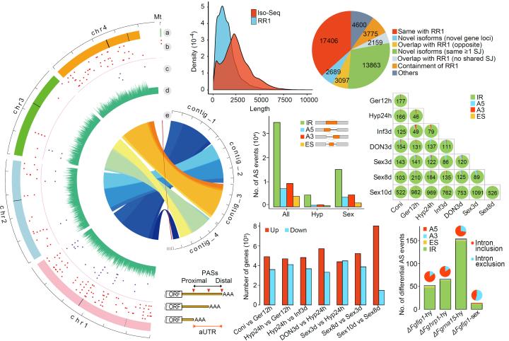 fdaa6e244f08467c92fe828feb2ded04.jpg 图片-720.jpg