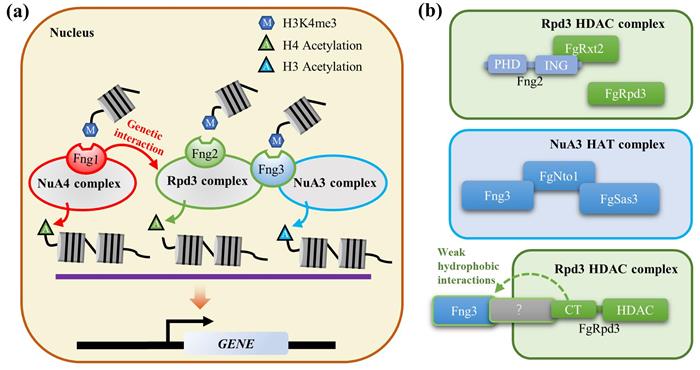 920a77efec8449879b96cfa5aacd76b8.jpg 图片-700.jpg