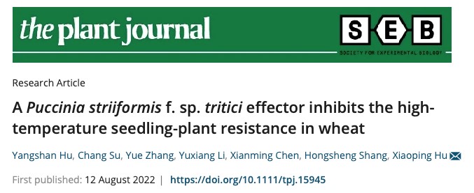 3e15fbadd85c442e854ba202cb14abe5.jpg 期刊图片.jpg