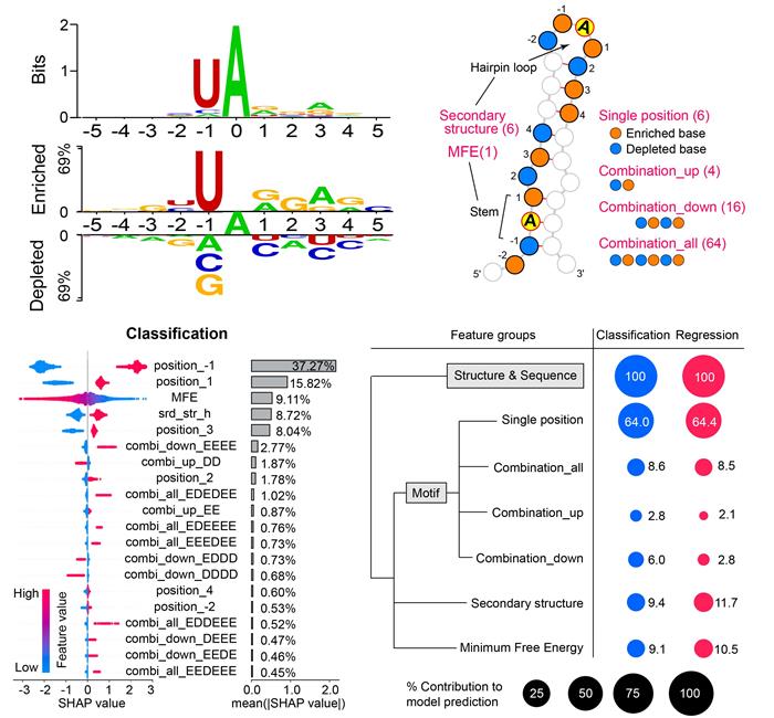 a733a7d0e64b46b5a11ced4a0c23cdcd.jpg 图片-700.jpg