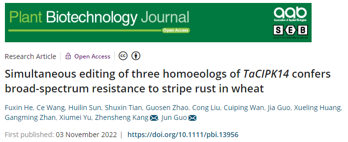 4d48c2255a6d4009b8deb8a89a53cb27.png 论文标题自拍视频图片.png