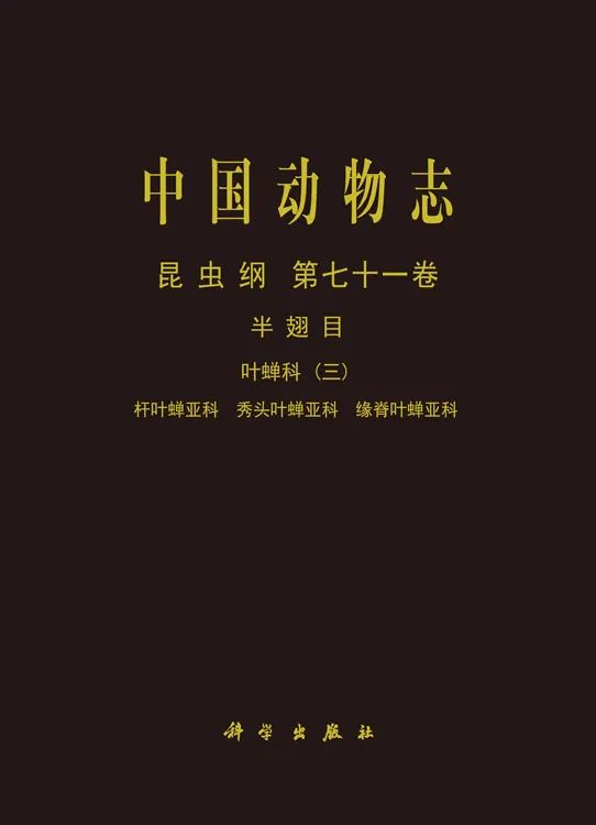 5caf4fa23f7947f185d023f3304a8e09.jpg 封皮图片.jpg