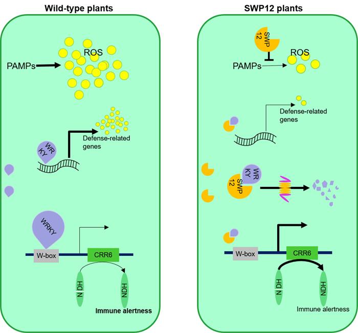 883e07751bb94f0496cbcaf943ebbcfd.jpg 图片2-2原图-700.jpg