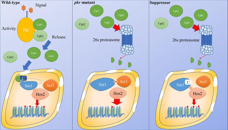 82e24fdefe0a4821829bd5ccf7106c76.jpg 原图片文件-750.jpg