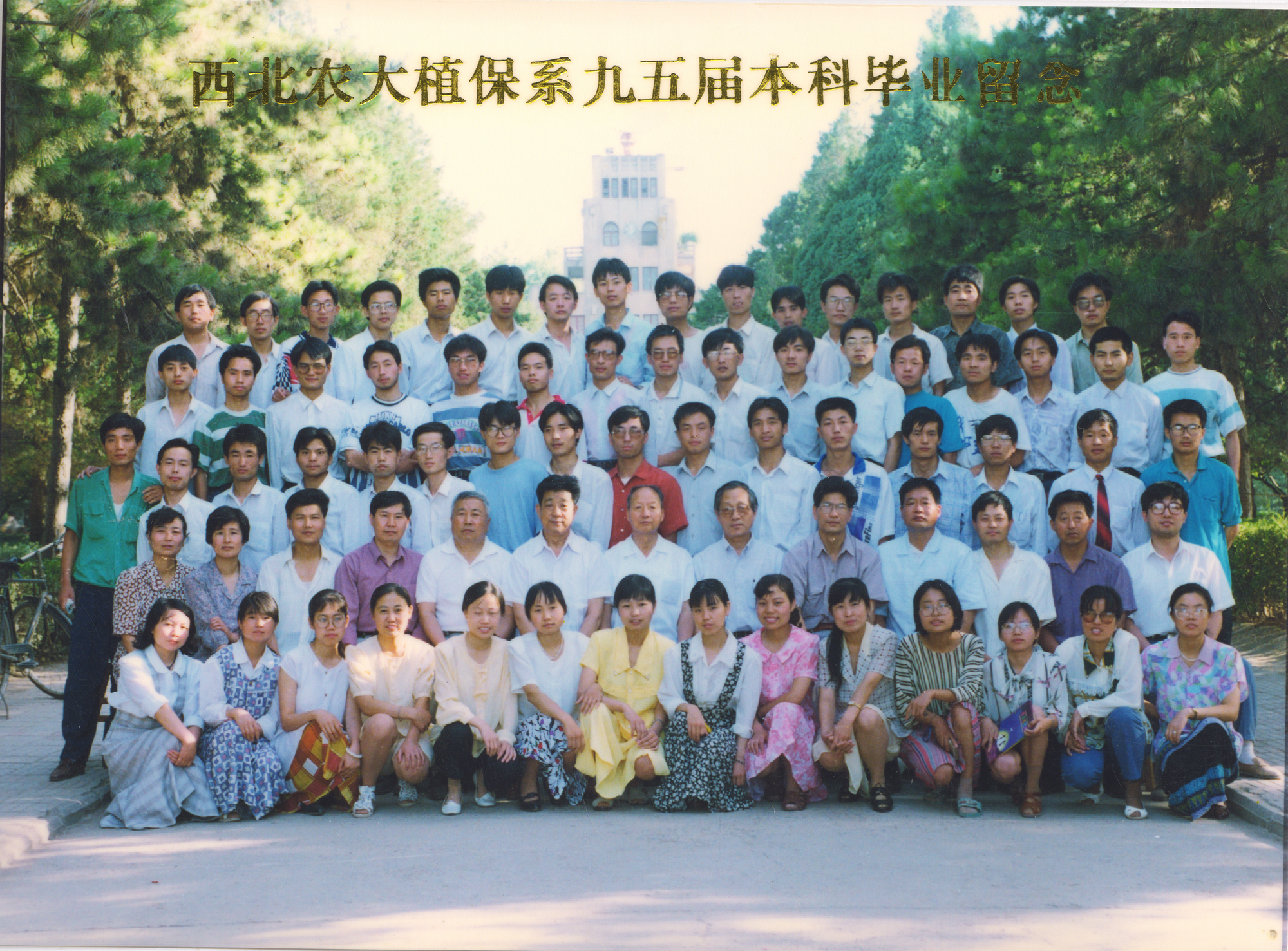 0ce553a143fa4c54bd9e7956a389875c.jpg 0ce553a143fa4c54bd9e7956a389875c.jpg