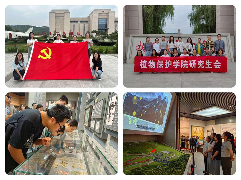 b1fb9809e5cf40e5901b7c31d251da33.jpg QQ800图片20230704164741.jpg